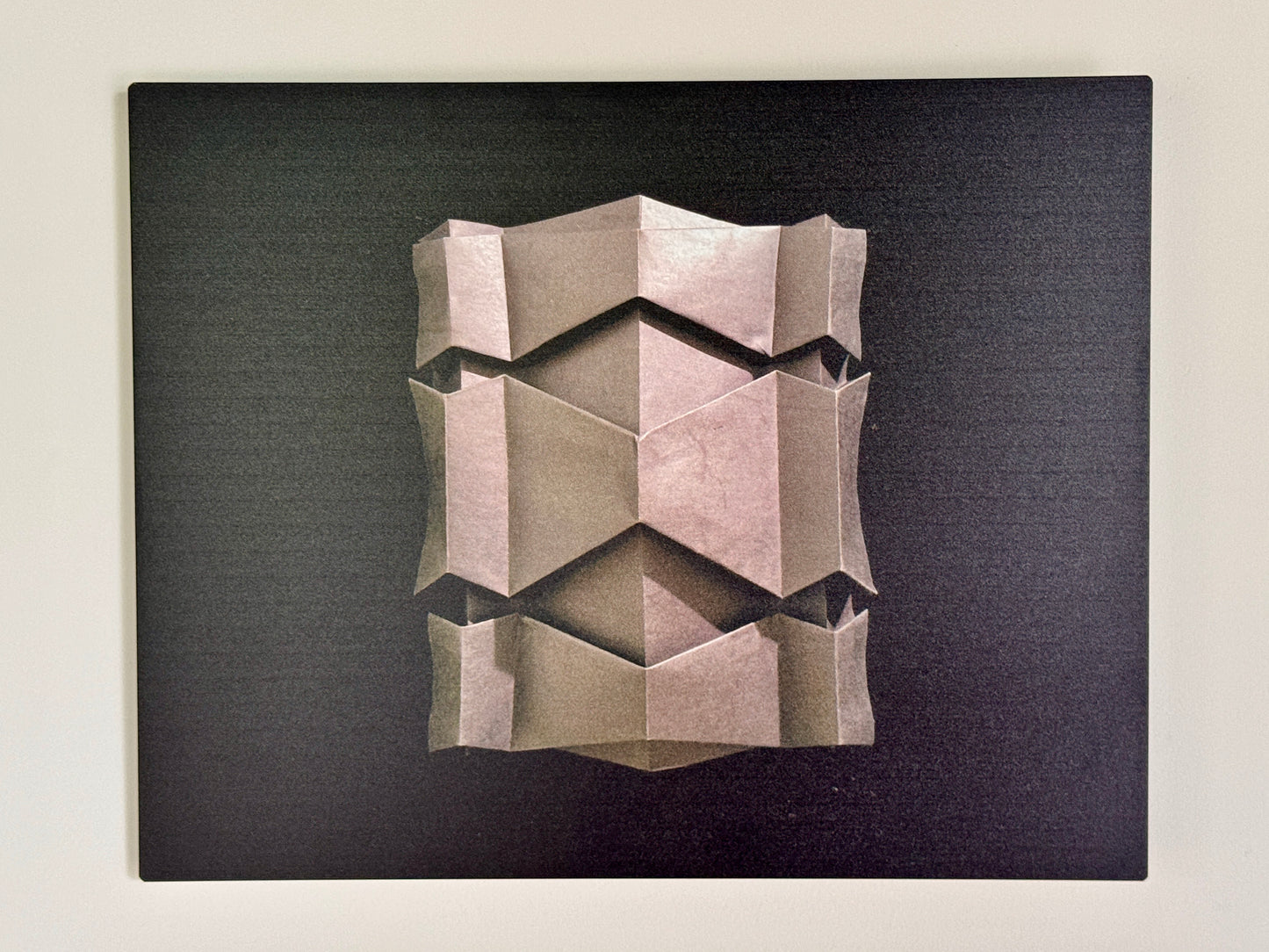 "Black Spine" Metal Photo Print