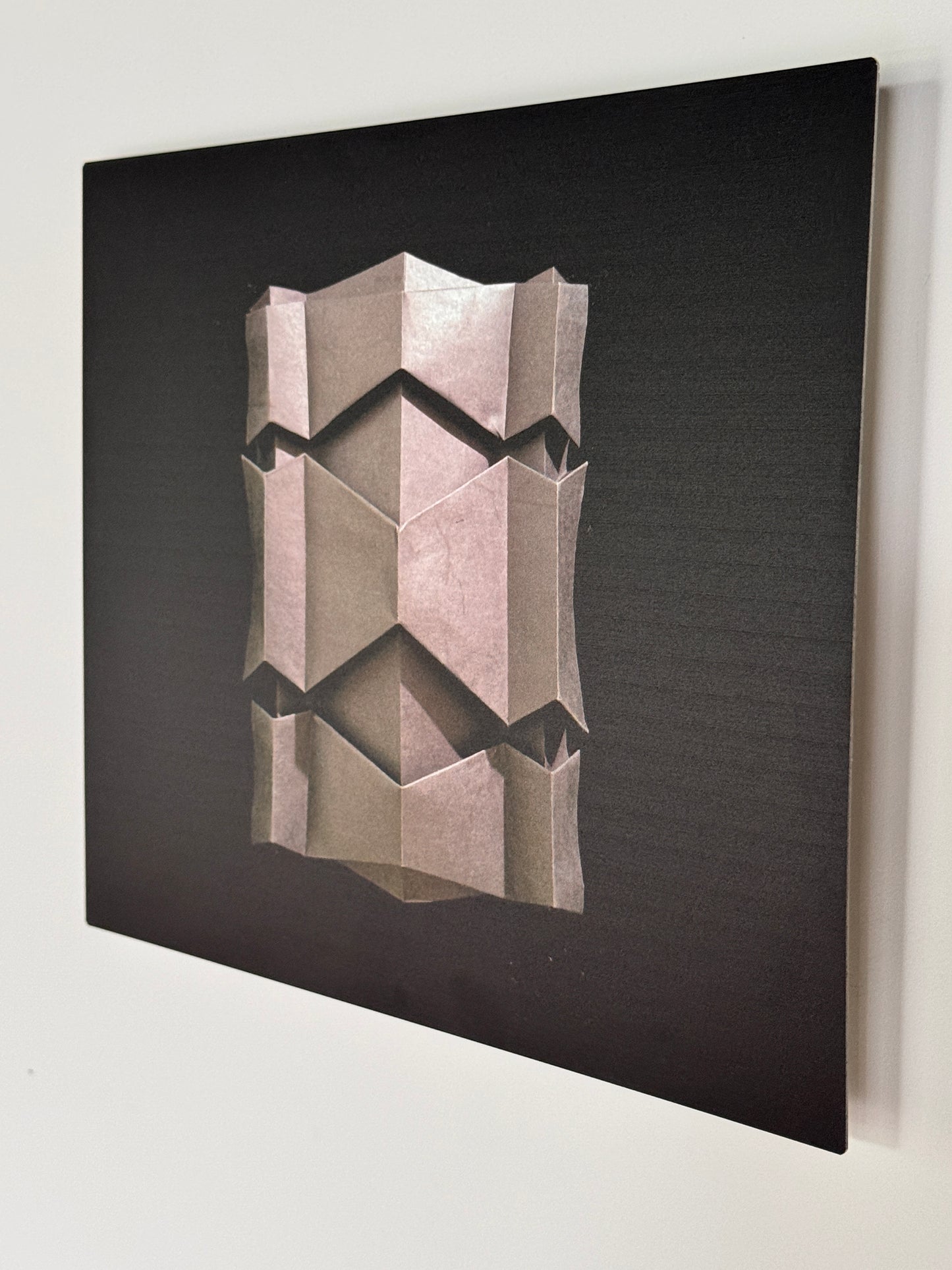 "Black Spine" Metal Photo Print