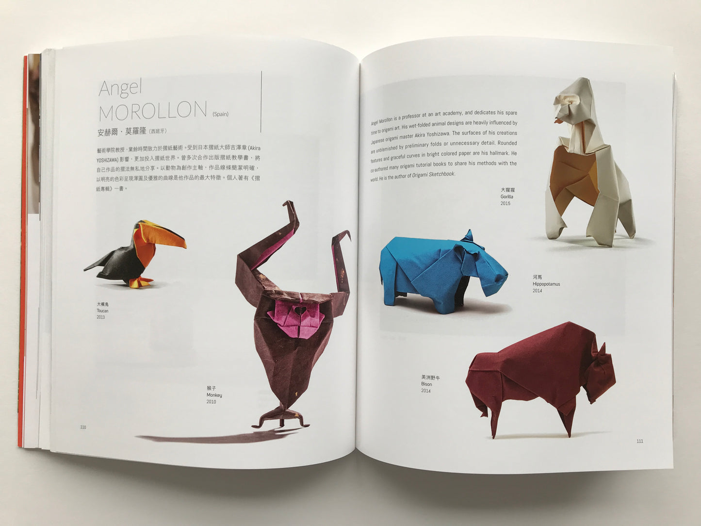 Origami Universe Exhibition Catalog