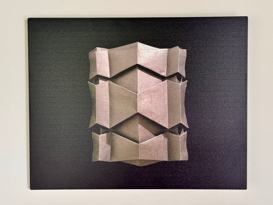 "Black Spine" Metal Photo Print