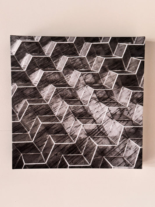"Colony" Canvas Photo Print