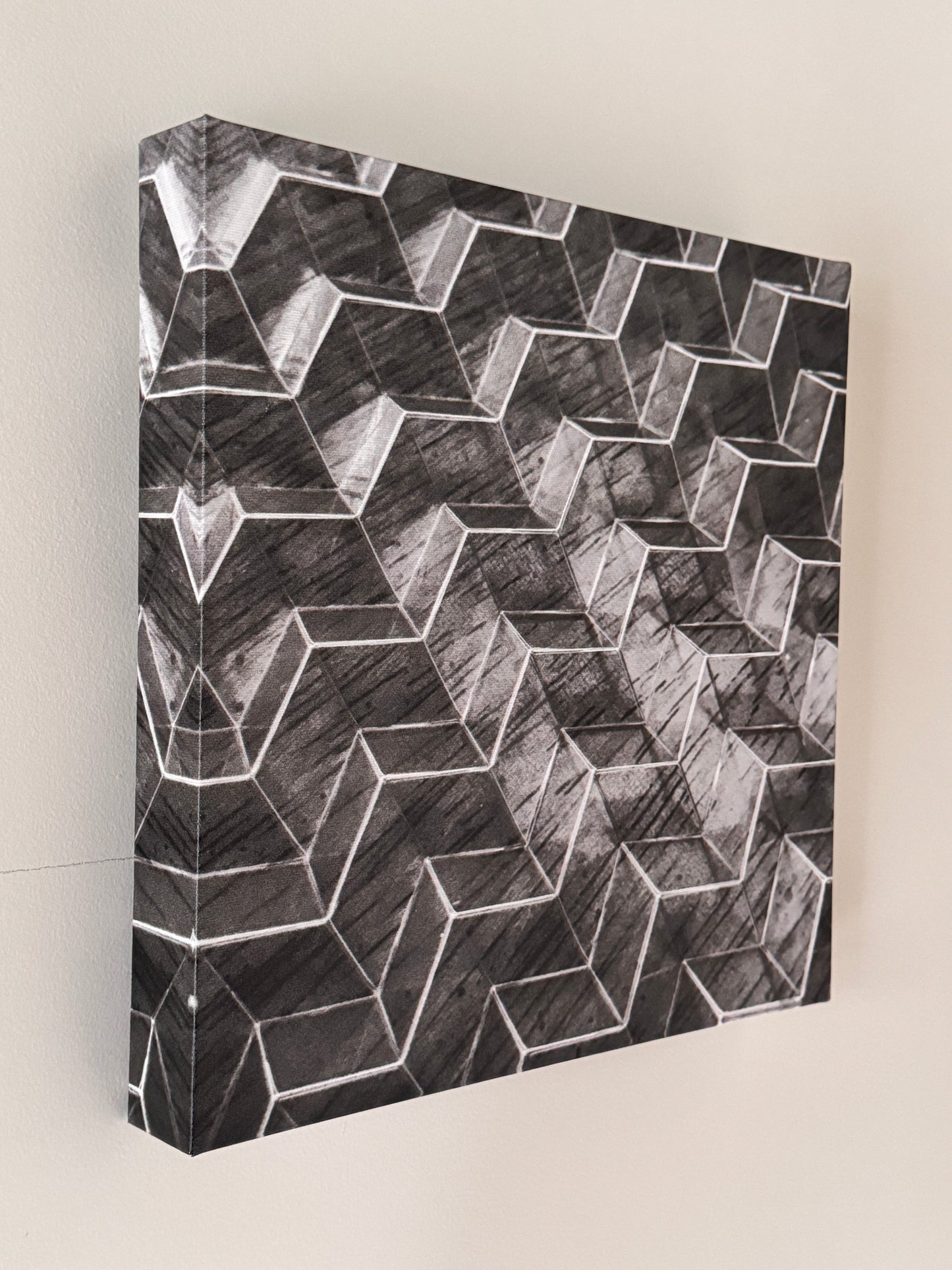 "Colony" Canvas Photo Print